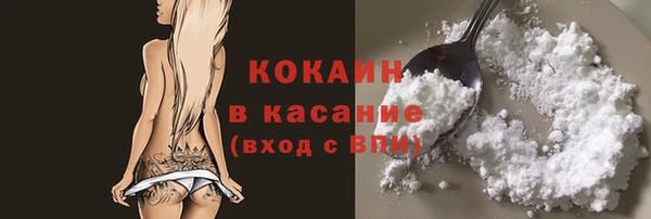 трава Арсеньев