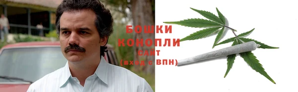 PSILOCYBIN Аркадак