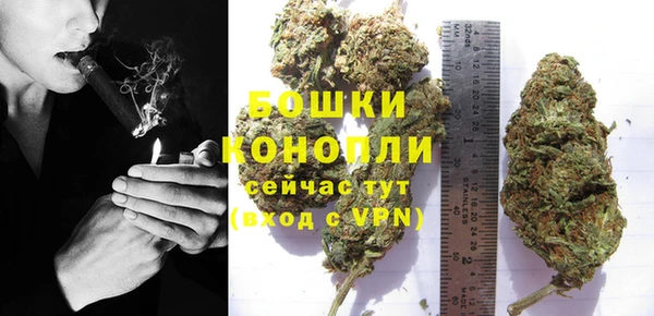 PSILOCYBIN Аркадак