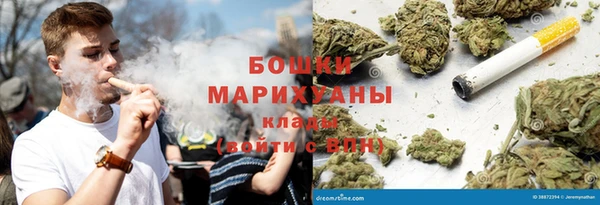 PSILOCYBIN Аркадак