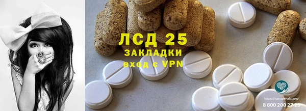 PSILOCYBIN Аркадак